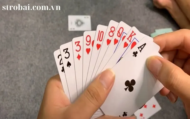 kinh nghiệm chơi bài phỏm