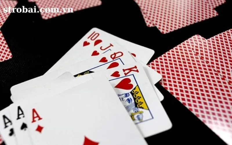 phỏm chuyên nghiệp