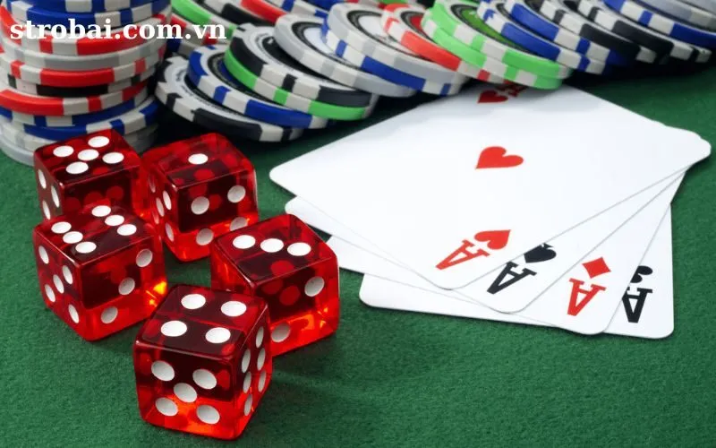 phỏm chuyên nghiệp